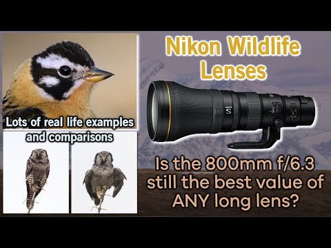 Nikon Wildlife Lens Lineup 2025... Is the 800mm f/6.3 Still the Best Value