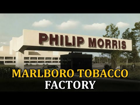 From America's No.1 Tobacco Empire to Single Fortress: Marlboro Factory, Richmond