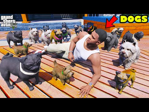 Franklin Attacked By Chop's One Thousand Puppies In GTA 5 | SHINCHAN and CHOP