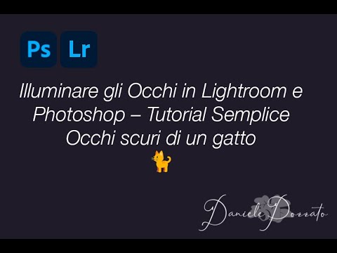 🐈  Illuminare gli Occhi in Lightroom e Photoshop – Tutorial Semplice - Occhi scuri di un gatto 🐈