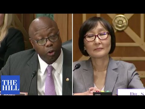 'I Cannot Think Of A Nominee More Poorly Suited Than You': Tim Scott Shreds Comptroller Nominee