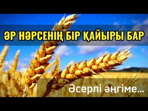 ЖОҚТАН БАР ЖАСАҒАН ӘЙЕЛ.Авторы Ақмарал Мырзағалиева. Болған оқиға ізімен.