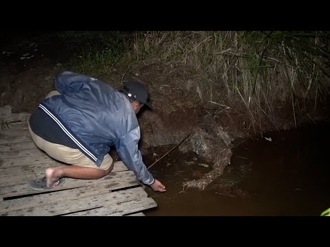 10 Terrifying Swamp Moments Caught on Camera