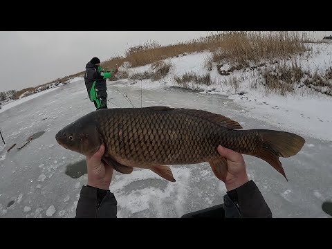 ЭТИ САЗАНЫ РАЗОРВАЛИ МНЕ ВСЕ ХАПУГИ! АДРЕНАЛИН ПЕРЕПОЛНЯЕТ, ДАВНО Я ТАК НЕ РЫБАЧИЛ!!!