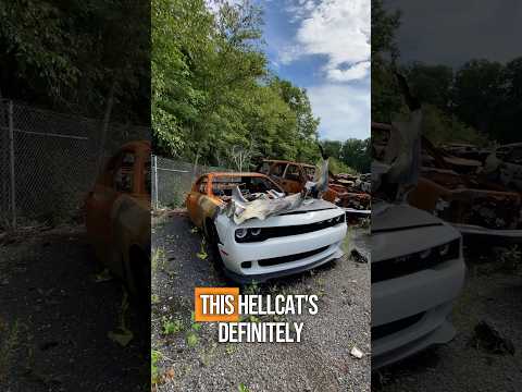 Left The Hellcat In The Oven A Bit Too Long..