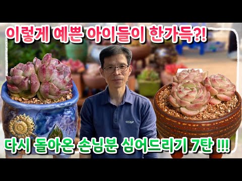 We're giving back to our returning guests! A variety of cute little ones await you! Come and take...