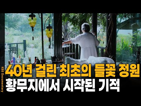 Korea's first wildflower garden bloomed in a wasteland, revealing its 40-year secret! | KBS 2020-...