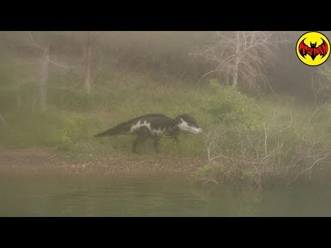 Fishermen Recorded THIS Near the River — And It’s Terrifying
