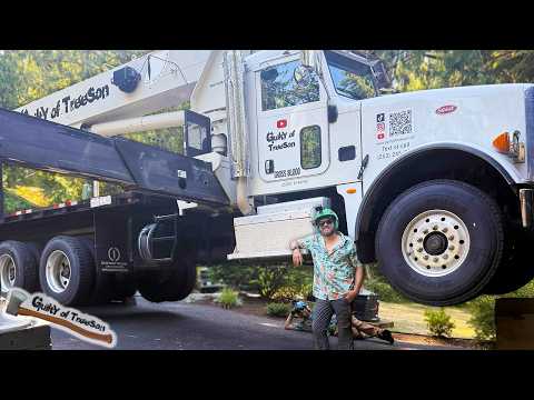 The city took EIGHT MONTHS to approve this DANGEROUS TREE REMOVAL?!