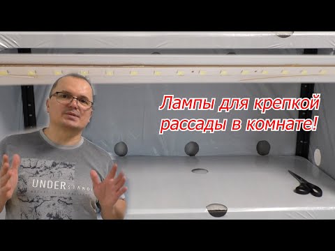 Лампы, под которыми вырастает толстая и коренастая рассада!