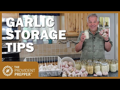 Tips on Growing, Peeling, and Preserving Garlic for Long-Term Storage