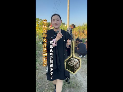 放在百年古井裡的翡翠，撈出來切開能值多少???