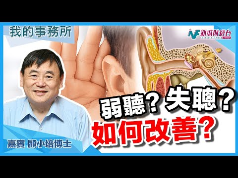 【我的事務所】聽力下降？突發性失聰？原來係缺少呢樣嘢！｜顧小培 劉婉芬