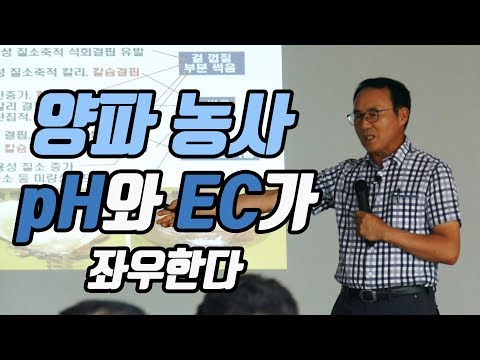양파 재배 기술 2