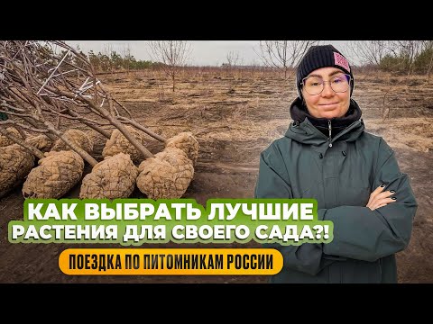 Как выбрать лучшие растения для своего сада?! Поездка по питомникам России