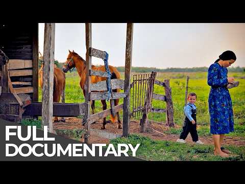 No Power, No Technology, No Modern Life: The Mennonites of Mexico | Free Documentary