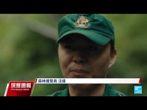 全球現場深度週報    20250315｜#公視新聞網