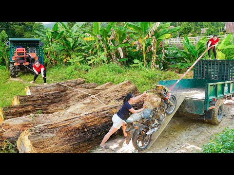 Use Truck To Pull Large Logs Ashore, Transporting The Rusty Car From The River To Help Ly Tue Dinh