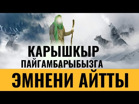 КАРЫШКЫР ПАЙГАМБАРЫБЫЗГА ЭМНЕНИ АЙТТЫ? ЭМИ БИР КЕРЕМЕТ САБАК