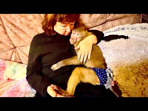 If you want to laugh, come to us! Lucy got mad at her dad and she and her mom are BURNING