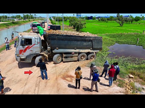 Walk Carefully Dump Truck 25.5Ton Filling up land into flooded field with Dozer KOMAT’SU D60,Mix VDO