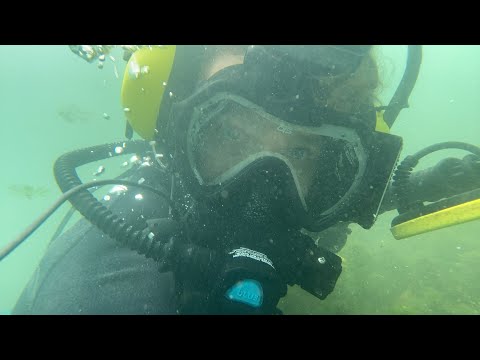 🔴UNDERWATER LIVESTREAM!!!