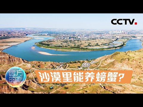 黄河水引入沙漠会发生什么？一个惊人的奇迹在内蒙古发生了 20230309 |《远方的家》CCTV中文国际
