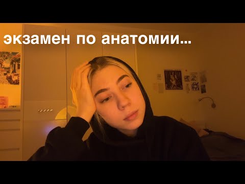как я сдавала экзамен по анатомии…
