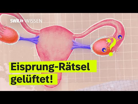 Was ihr noch NICHT über den Eisprung wusstet! | SWR Wissen
