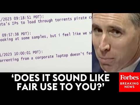 WATCH: Josh Hawley Pulls Up Meta Employee Chat Logs In Front Of Congress Showing 'Pirating' Scheme