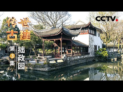 解锁苏州拙政园美学密码：“一池三岛”的园林设计理念，藏着古人怎样的玄机？通过人因实验了解“公园二十分钟效应”，置身拙政园，会带来怎样的神奇反应？20250112 | CCTV中文《传世古建》