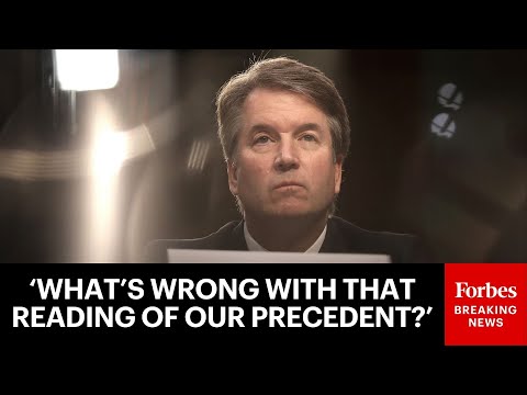 'That's Exactly What The Cases Say!': Brett Kavanaugh Shows No Mercy To Lawyer Over Prior Gun Cases