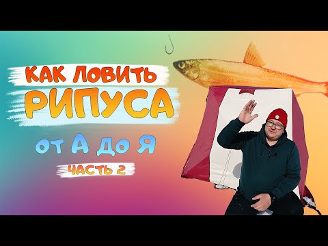 RIPUS. How to CATCH RIPUS in winter. Lake Uvildy. Fishing from A to Z. Ripus Uvildy. Part 2