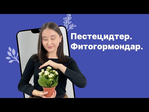 Пестецидтер. Фитогормондар. Биология ҰБТ