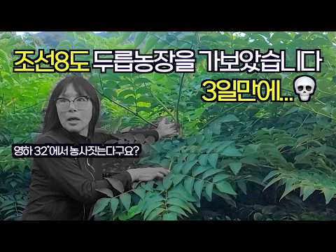 Farmers from all over the country are succeeding in growing aralia