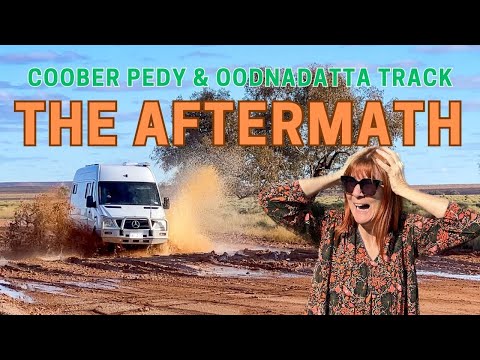 The AFTERMATH of our outback drive - Oodnadatta Track