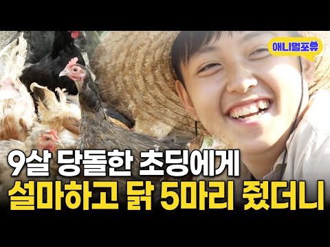 생일 선물로 받은 닭 5마리를 200마리로 만든 전설의 초딩 I KBS 인간극장 - 농사가 좋아요 2021 방송