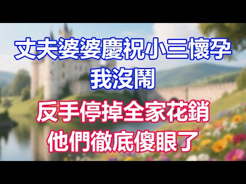 丈夫婆婆慶祝小三懷孕，我沒鬧，反手停掉全家花銷，他們徹底傻眼了