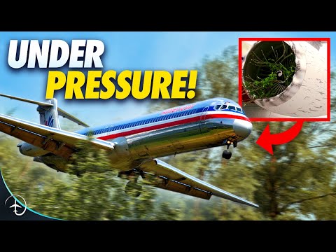 Rapidly Losing Pressure | The Incredible Landing Of American Airlines 1572