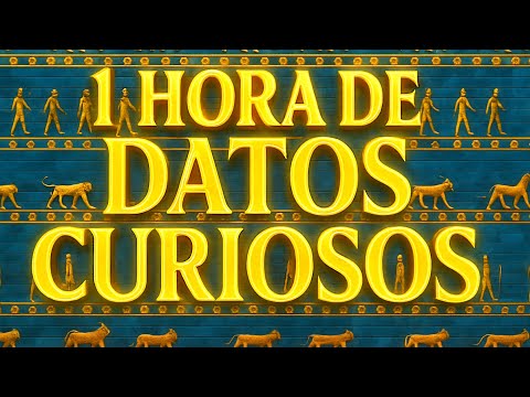 1 HORA de DATOS CURIOSOS y COSAS QUE NO SABÍAS #8😲