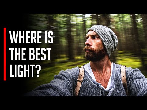 Let The Light Be Your Salt Which Seasons Your Photos