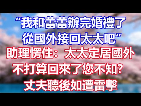 “我和蕾蕾辦完婚禮了，從國外接回太太吧”，助理愣住：太太定居國外，不打算回來了您不知？丈夫聽後如遭雷擊