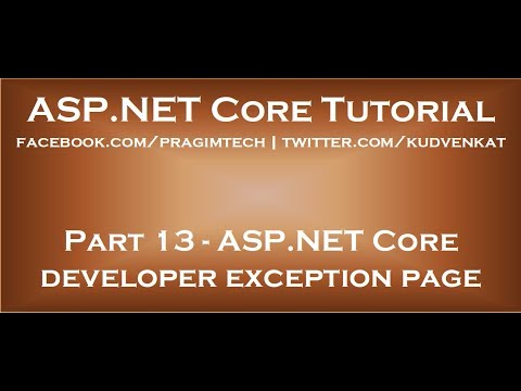 ASP NET Core developer exception page