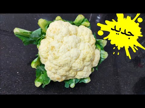 قووووة فالبنة😋شيلفور بطريقة سيعشقها الجميع⁉️كل حياتك ونت تنفخي الحمص خطأ😱روتين يومي ملئ بالتدابير