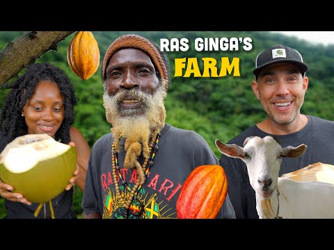 Organic Farming with @rasginga ! HUGE Coconuts, Cocoa Fruit tasting & Goats!