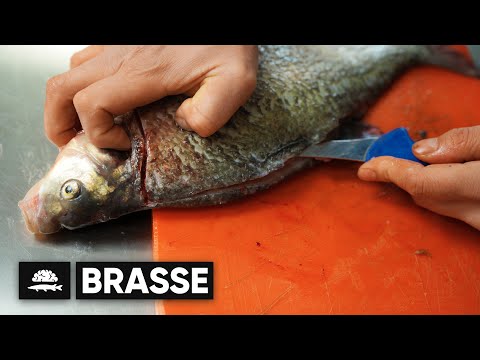 Bream | Filleting and bone removal XXL | Fish and brains