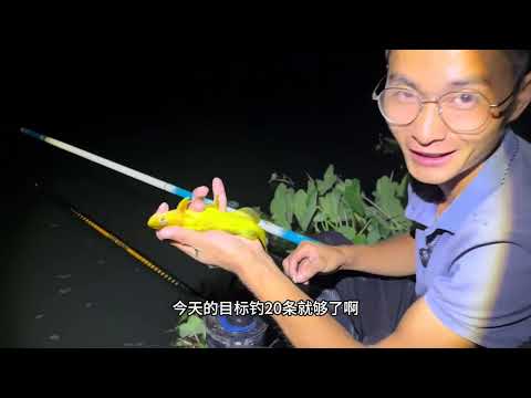 原始野库3天荒野式垂钓，收获满满！