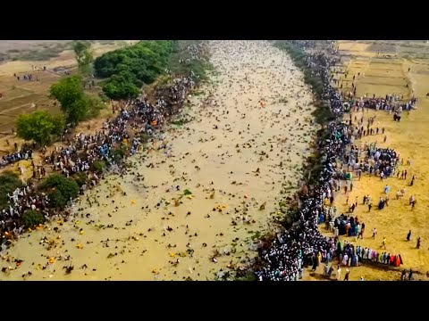 Momentos na Natureza Que Acontecem uma Vez em um Bilhão
