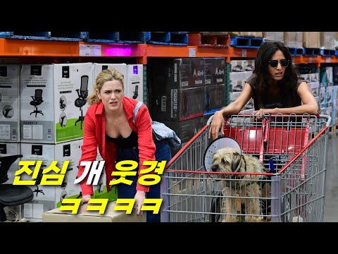 호주에서 "초대박" 터져서.. 전세계로 공개된 🐶개꿀잼 드라마 [결말포함]