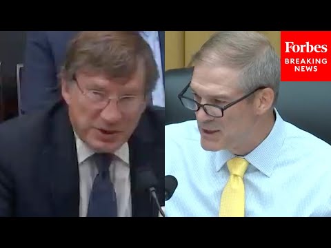 Jim Jordan Asks Law Professor Point Blank: Was Trump's Hush Money Payment A Political Contribution?